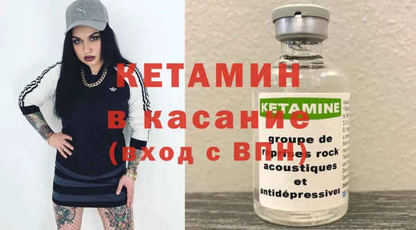 крисы Аркадак