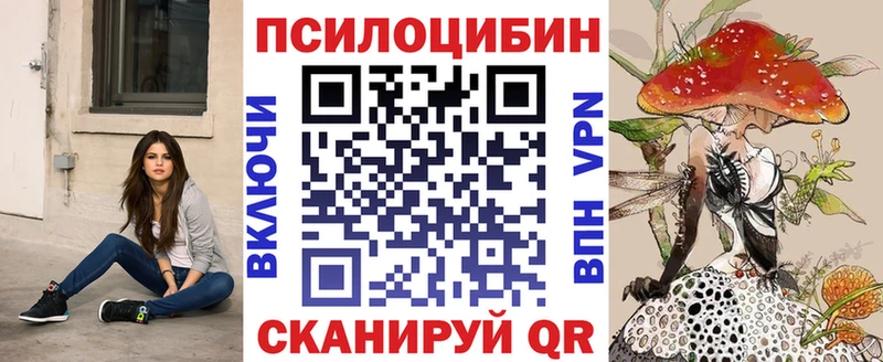 Псилоцибиновые грибы Cubensis Болохово