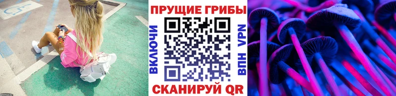 Галлюциногенные грибы Cubensis  Купить  Болохово 